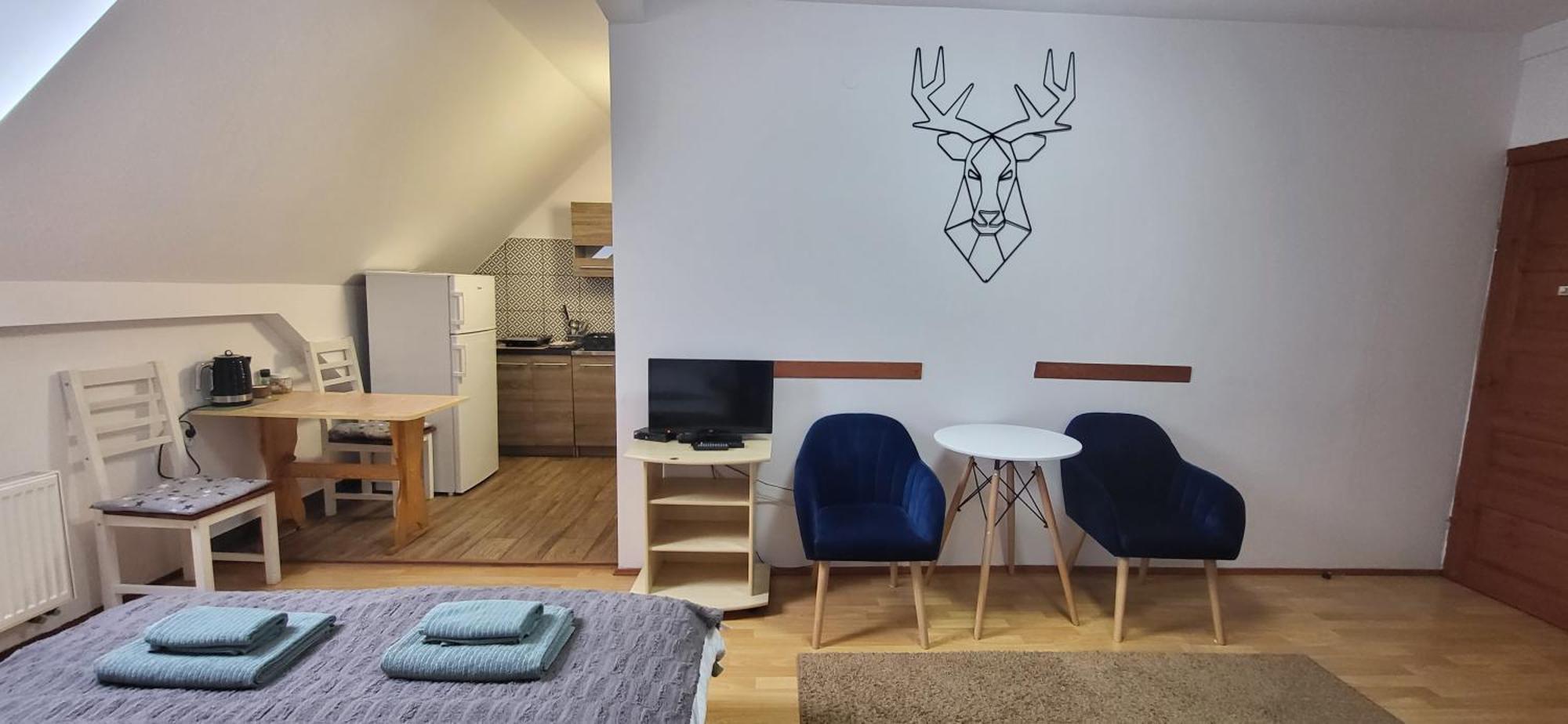 Homestay Goscinne U Zosi